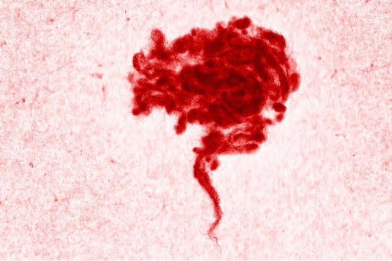 Mynd: Búi Bjarmar Aðalsteinsson fyrir Textílmiðstöð Íslands.