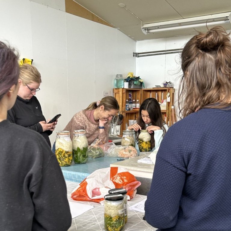 Námskeið ,,Solar Dyeing