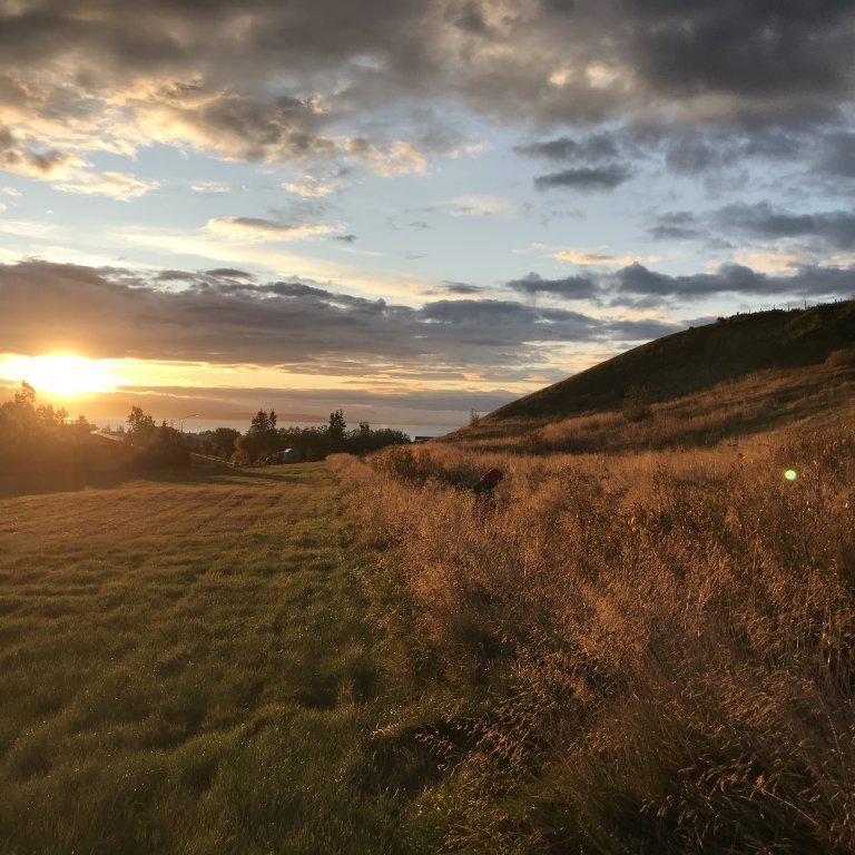 Fields in Blönduós. Photo credit: Textile Center.