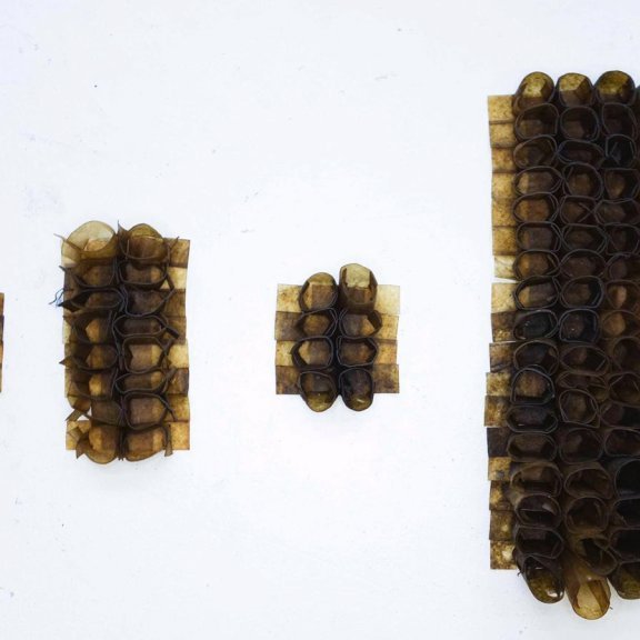 alberte-seaweed1-week03