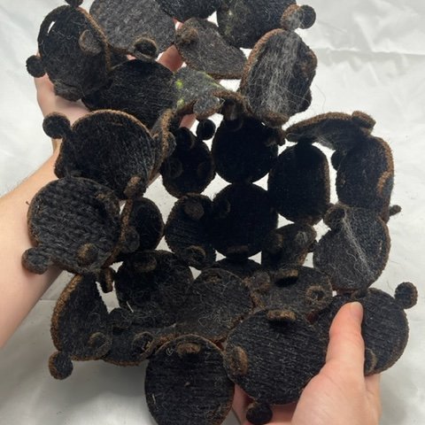 bubbleh-cariane-lugeon