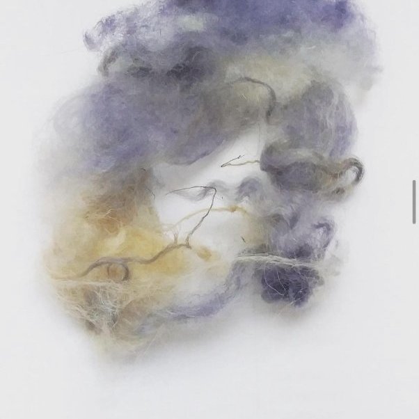 Wool dyed purple using bacteria - experiments TextileLab - 2023