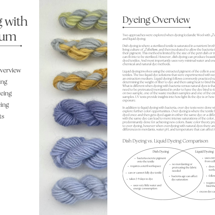 The project Fjólublár is a collaboration between the Icelandic Textile Center, BioPol and Ístex. The goal is to create a sustainable dyeing process for Icelandic wool by utilizing the bacterium Janthinobacterium lividum which is able to produce the purple pigment violacein. During this project, the production of bacterial dye from J. lividum has been optimized and a method has been developed for efficient and sustainable dying of wool. The project received funding from the SSNV 2023 Development Fund.