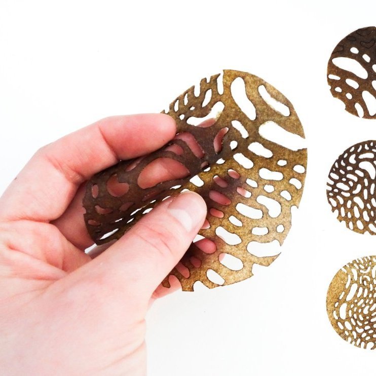 Seaweed experiments using the laser cutter in the TextileLab as part of the Fabricademy course. Image: Alberte Bojesen