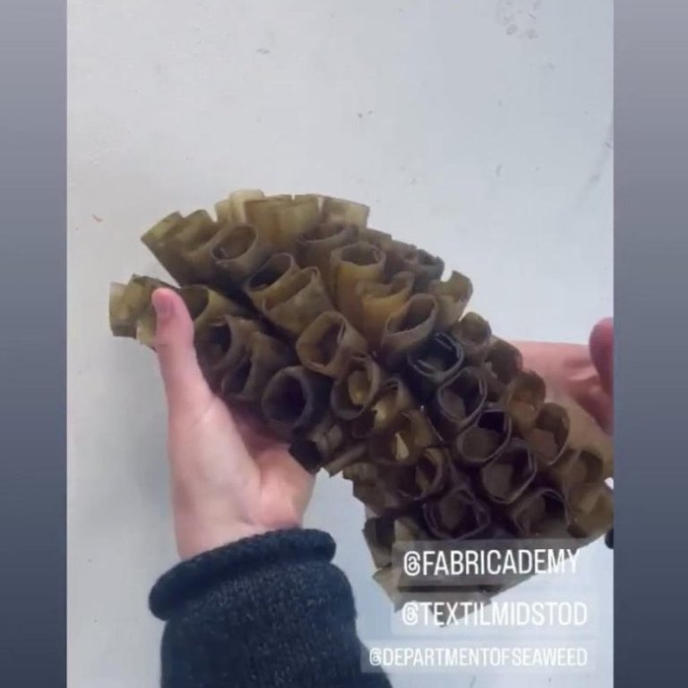 Seaweed experiments in the TextileLab as part of the Fabricademy course. Image: Textile Center