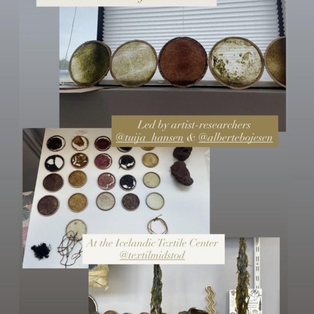 Námskeiðið byrjaði á vettvangsferð, smökkun á þara og síðan verkleg kennsla um þara sem hráefni og litarefni. // Seaweed-focused workshop with Alberte Bojesen and Tuija Hansen, July 23, 2025. Ljósmynd: Drifting Lab.