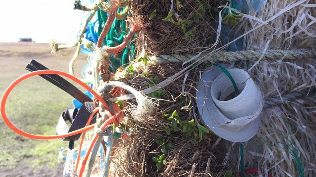 Lista- og vísindasmiðjur - beach cleanup 25.5.19