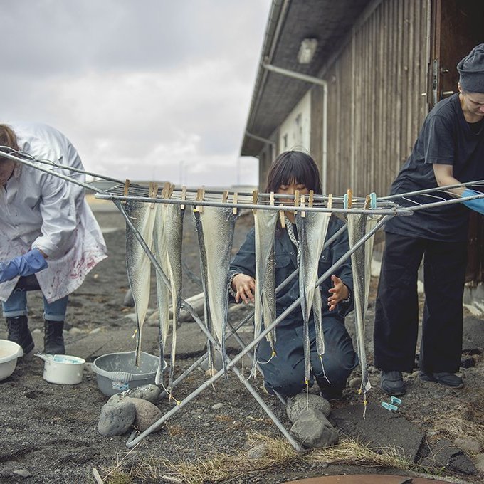 Participants working on fish skin during the international fish skin craft workshop held at the Textile Center in early 2018, a collaboration of Central Saint Martins in London and the Icelandic University of the Arts. Picture: Nathalie Malric.