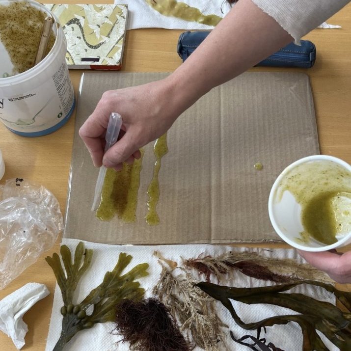Seaweed-focused workshop with Alberte Bojesen and Tuija Hansen, July 23, 2025