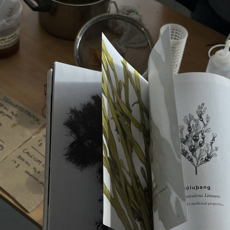 Seaweed-focused workshop with Alberte Bojesen and Tuija Hansen, July 23, 2025