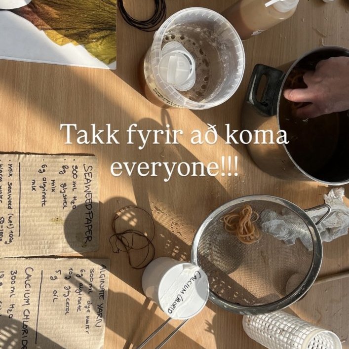 Seaweed-focused workshop with Alberte Bojesen and Tuija Hansen, July 23, 2025