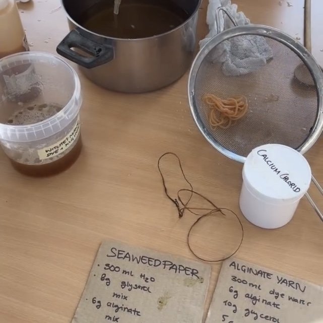 Seaweed-focused workshop with Alberte Bojesen and Tuija Hansen, July 23, 2025