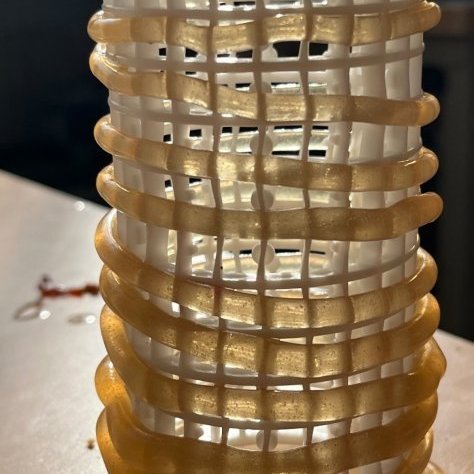 Seaweed-focused workshop with Alberte Bojesen and Tuija Hansen, July 23, 2025