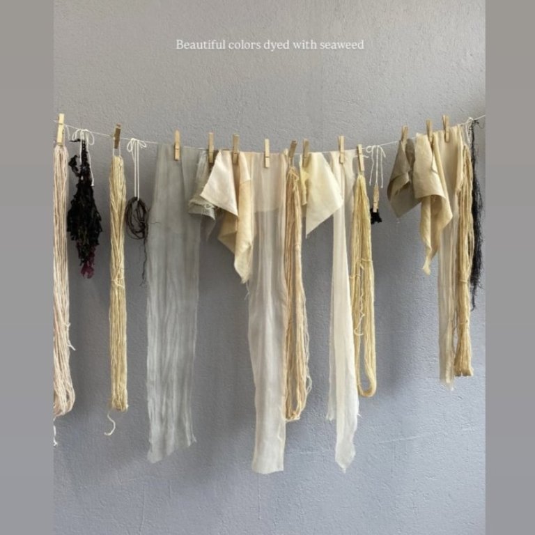 Seaweed-focused workshop with Alberte Bojesen and Tuija Hansen, July 23, 2025