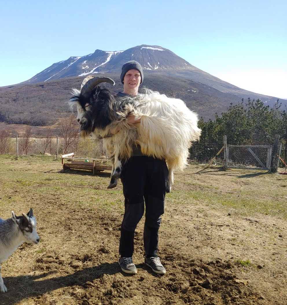 Wool, Tourism and Innovation: mini-conference online