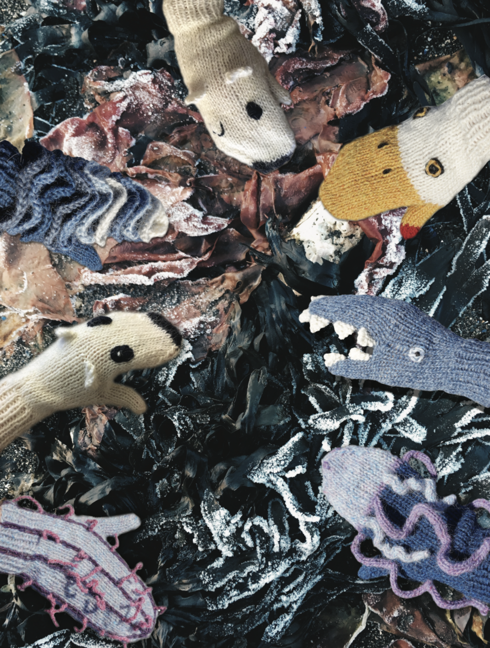 Photo credit: Ýr Jóhannsdóttir