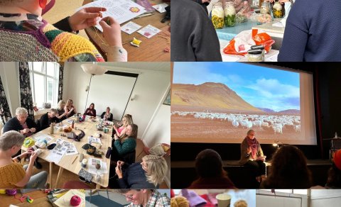 KnitFest 2024 in Blönduós