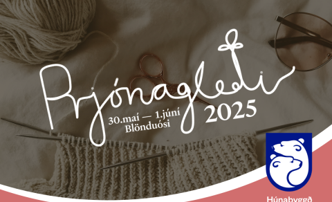 Iceland Knit Fest 2025