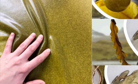 Námskeið: ,,Drifting Lab