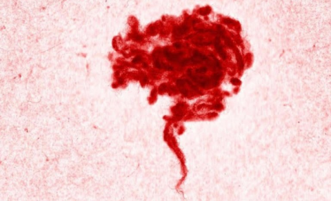 Mynd: Búi Bjarmar Aðalsteinsson fyrir Textílmiðstöð Íslands.