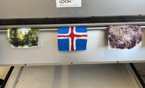 SAMFES og Valgreinardagur í labinu