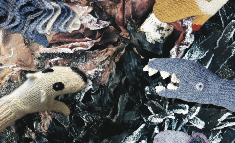 Photo credit: Ýr Jóhannsdóttir