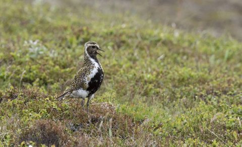 Uppbygging TextílLabs og -Klasa